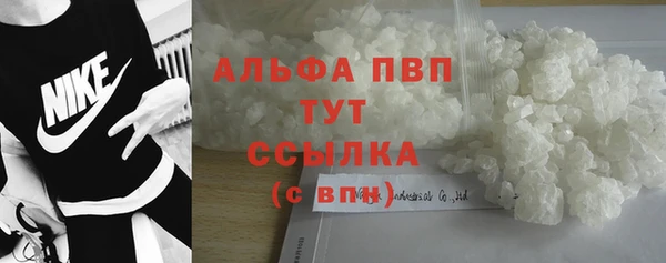 spice Аркадак