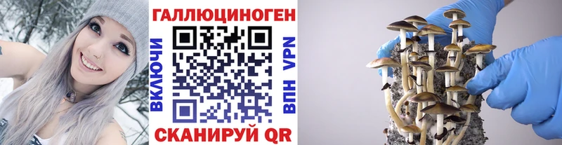 Псилоцибиновые грибы GOLDEN TEACHER  купить наркотики сайты  Нытва 